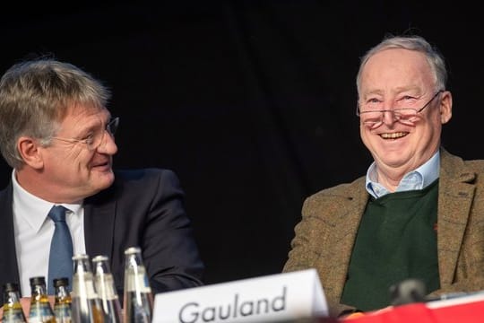 AfD-Chef Jörg Meuthen (l.