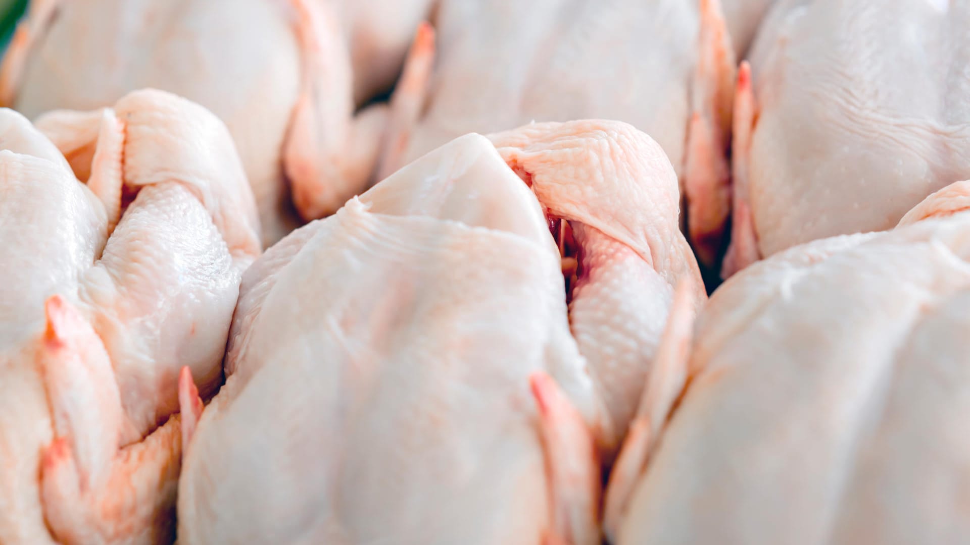 Frische Hähnchen: Bei Kontrollen konnten gefährliche Erreger nachgewiesen werden.