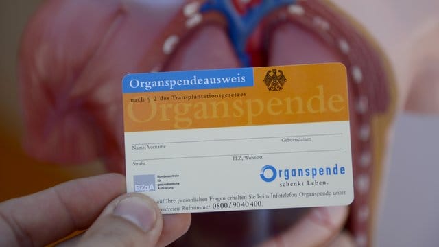 Den Ausweis erhalten Organspender etwa bei der Bundeszentrale für gesundheitliche Aufklärung (BZgA) oder der Deutschen Herzstiftung.