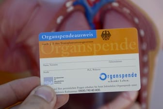 Den Ausweis erhalten Organspender etwa bei der Bundeszentrale für gesundheitliche Aufklärung (BZgA) oder der Deutschen Herzstiftung.