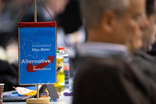 Europawahlversammlung der Alternative für Deutschland in der Sachsen-Arena in Riesa.