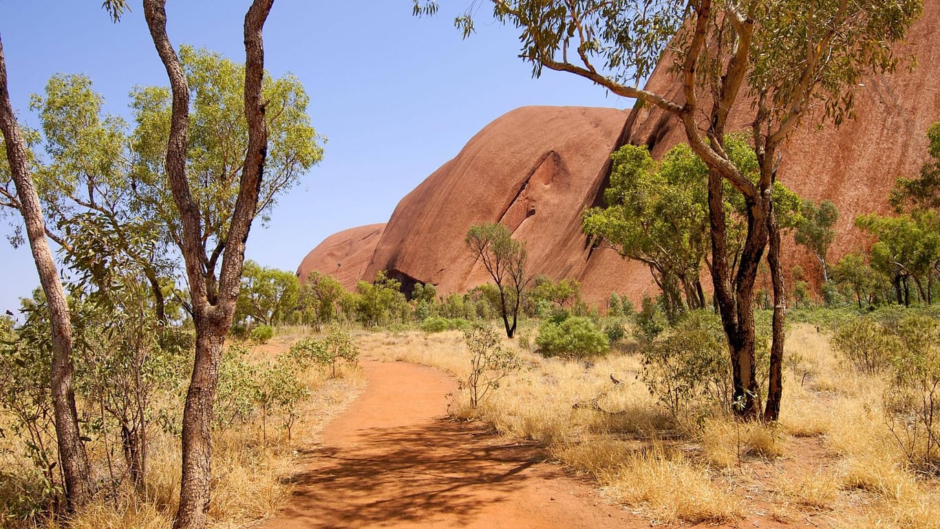 Das australische Outback: Hier herrschen tagsüber Temperaturen über 45 Grad.