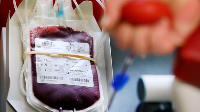 Eine Blutkonserve: In Deutschland ist die Zahl der Blutspender leicht rückläufig. Eine Blutkonserve: In Deutschland ist die Zahl der Blutspender leicht rückläufig.