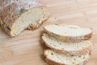 Schimmeliges Brot: In manchen Lebensmittelbetrieben lässt die Hygiene zu wünschen übrig.