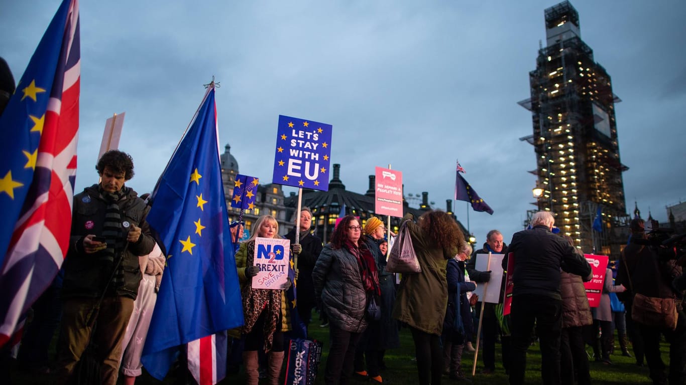 Demonstranten vor der Abstimmung in Westminster: Mehrere Hundert Menschen hatten in bunten Kostümen, mit Flaggen, Plakaten und Rasseln am Westminster Palace friedlich demonstriert.
