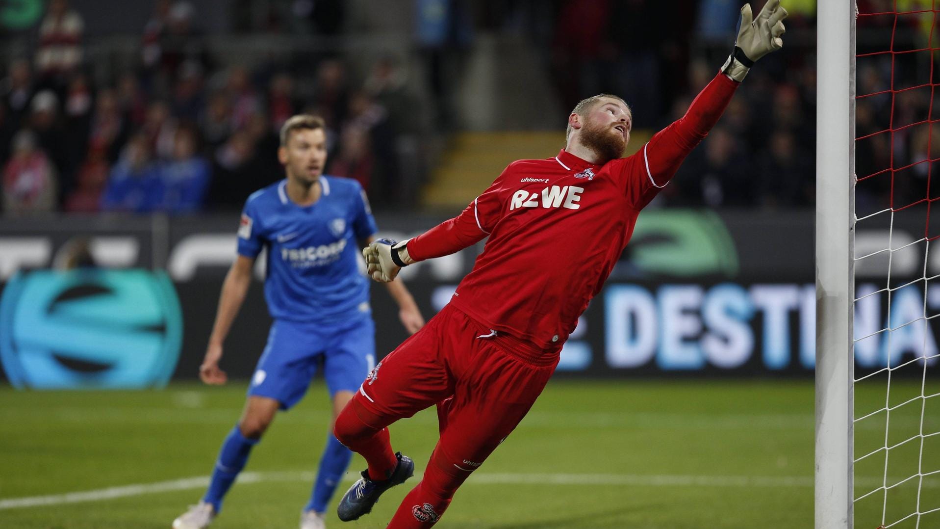 Macht sich lang: Timo Horn im Tor des 1. FC Köln im Zweitligaspiel gegen den VfL Bochum Ende Dezember.