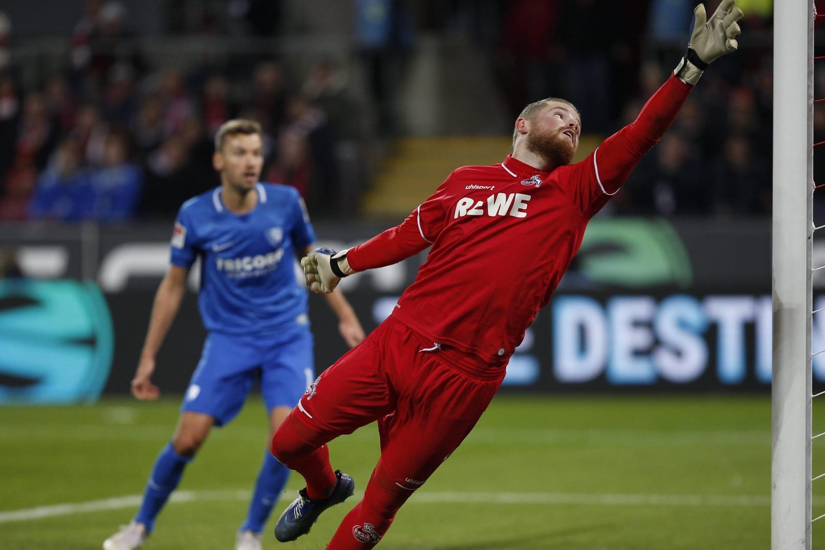 Macht sich lang: Timo Horn im Tor des 1. FC Köln im Zweitligaspiel gegen den VfL Bochum Ende Dezember.