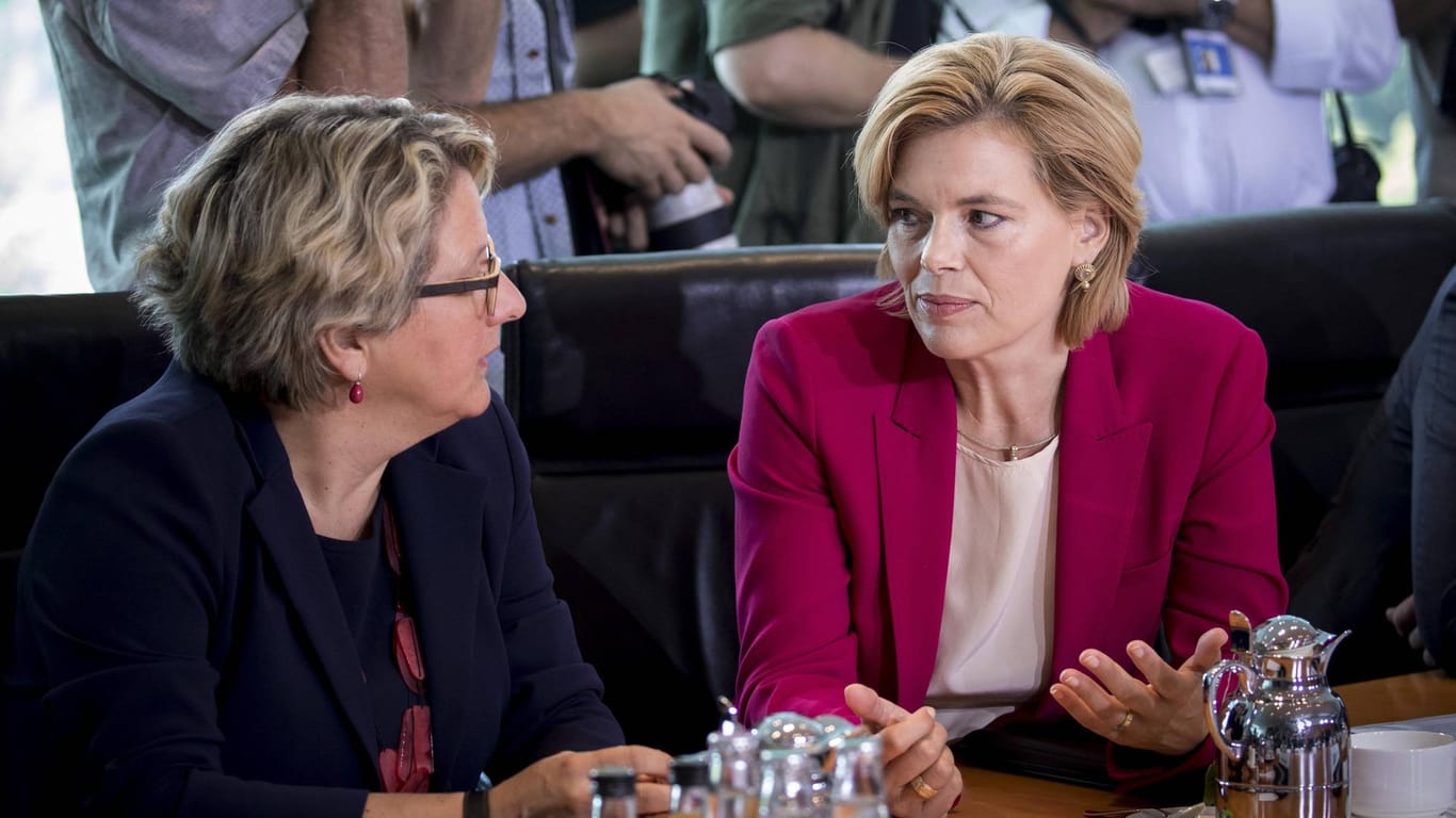 Im Streit über EU-Agrarwende: Bundeslandwirtschaftsministerin Julia Kloeckner von der CDU (rechts im BIld) und Bundesumweltministerin Svenja Schulze.