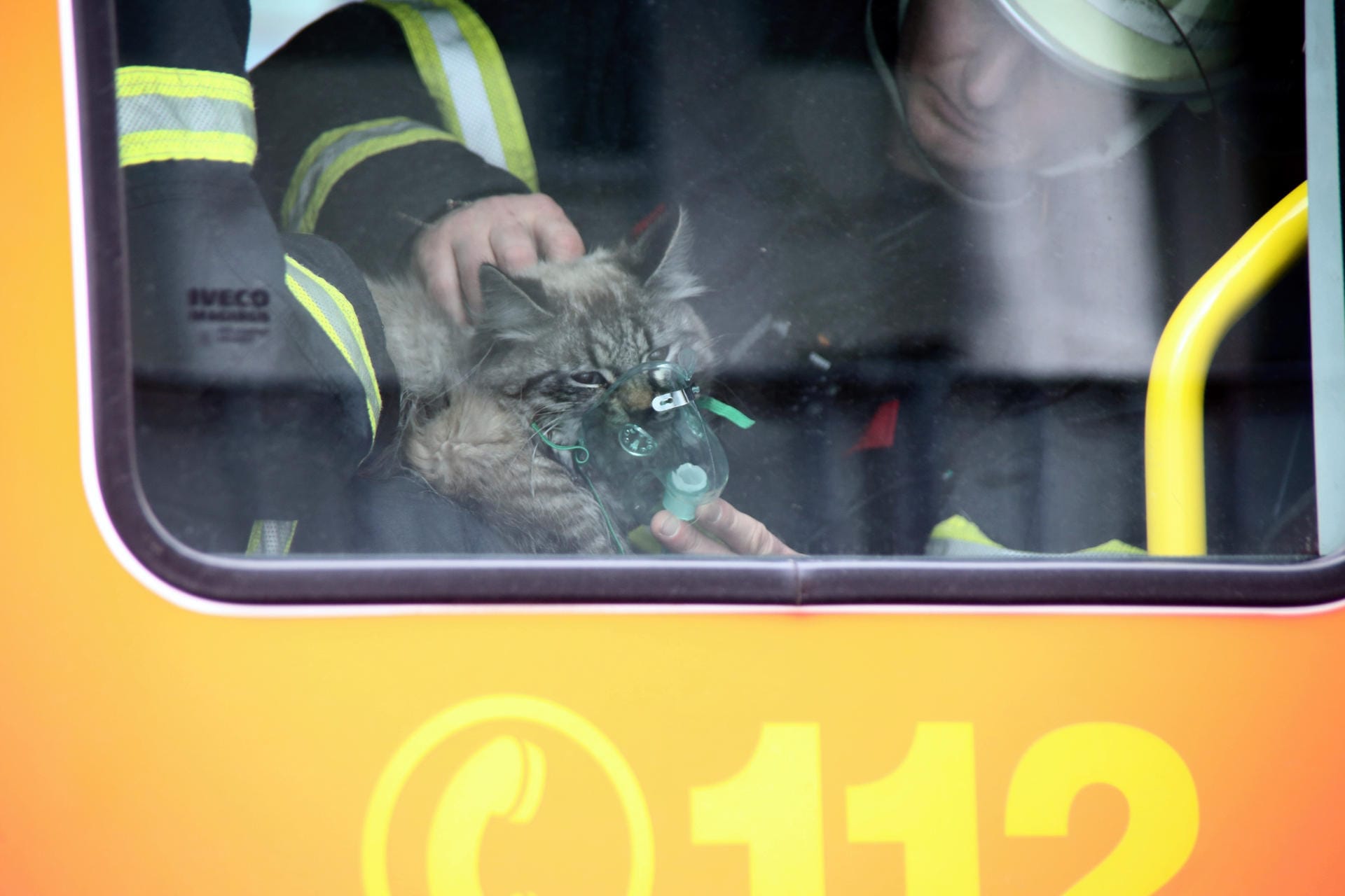 Mit einer Sauerstoffmaske beatmen Feuerwehrmänner die gerettete Katze: Ein Nachbar hatte den Brand in der Wohnung bemerkt.