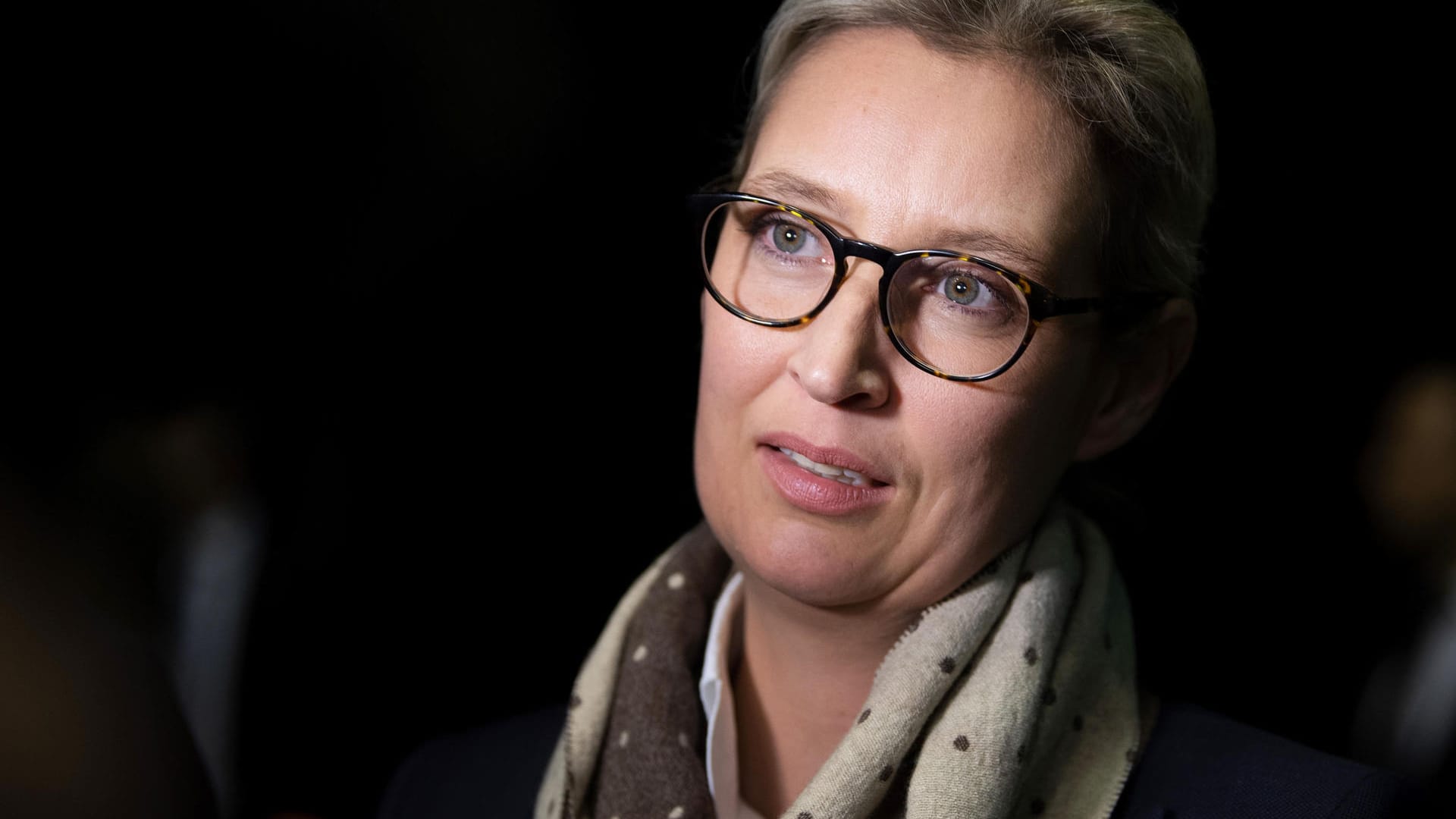 Alice Weidel: Der Kreisverband der AfD-Fraktionsvorsitzenden erhielt 2017 die Spenden.