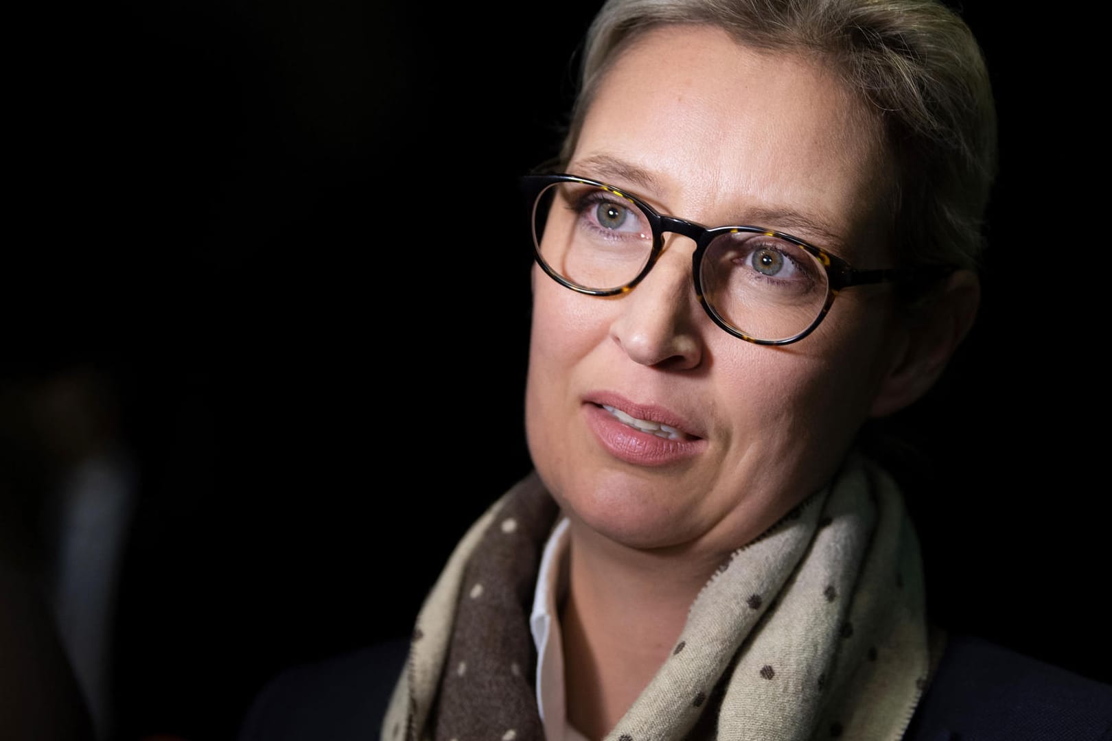 Alice Weidel: Der Kreisverband der AfD-Fraktionsvorsitzenden erhielt 2017 die Spenden.