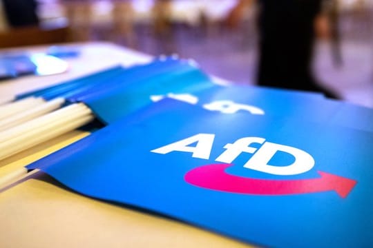 Die AfD hat der Bundestagsverwaltung eine weitere Liste mit Namen übergeben.
