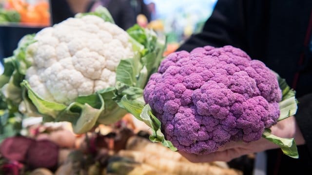 Violetter Blumenkohl verliert beim Kochen seine Farbe und wird grau.