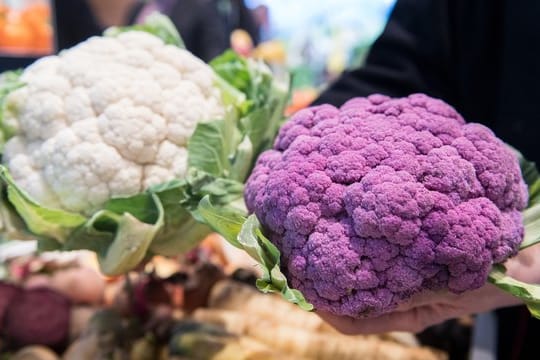 Violetter Blumenkohl verliert beim Kochen seine Farbe und wird grau.