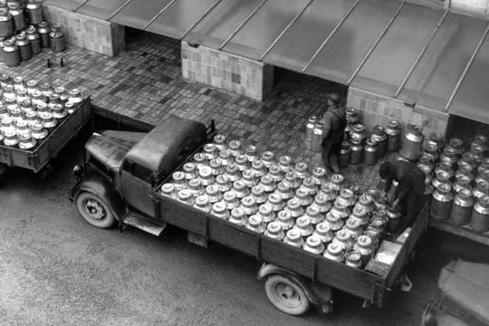 Lastwagen transportieren hunderte von Milchkannen zum Münchner Milchhof.