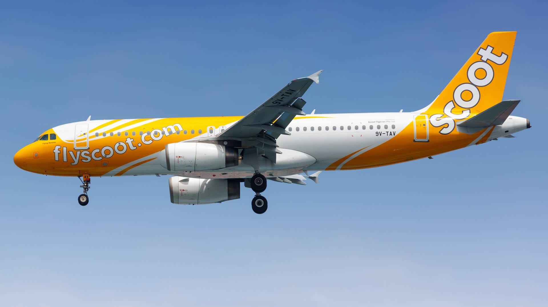 Eine Maschine der Billigfluglinie Scoot: Die Maschine war auf dem Weg von Australien nach Singapur und landete schließlich wieder in Sydney. (Symbolbild) Eine Maschine der Billigfluglinie Scoot: Die Maschine war auf dem Weg von Australien nach Singapur und landete schließlich wieder in Sydney. (Symbolbild)