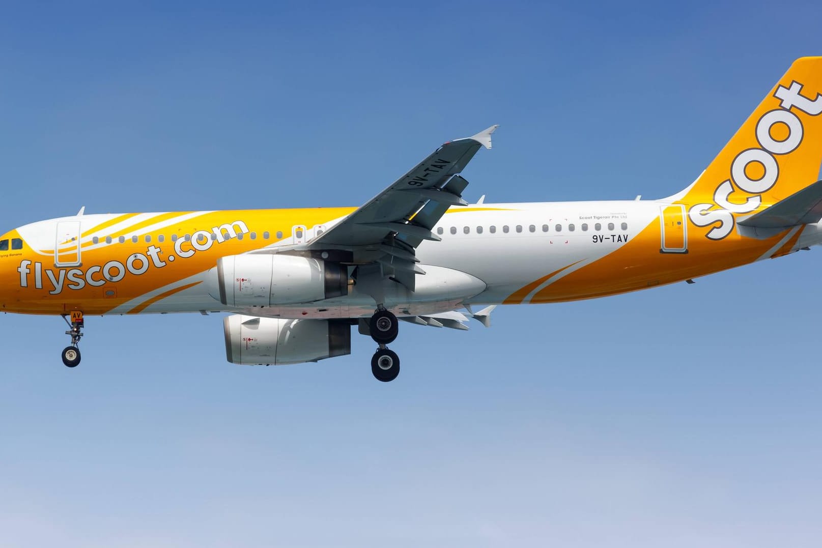 Eine Maschine der Billigfluglinie Scoot: Die Maschine war auf dem Weg von Australien nach Singapur und landete schließlich wieder in Sydney. (Symbolbild)