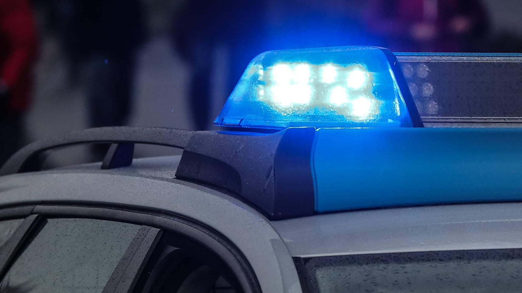 Blaulicht auf einem Polizeiwagen: Die Beute hat einen Wert von rund 200 Euro. (Archivbild) Blaulicht auf einem Polizeiwagen: Die Beute hat einen Wert von rund 200 Euro. (Archivbild)