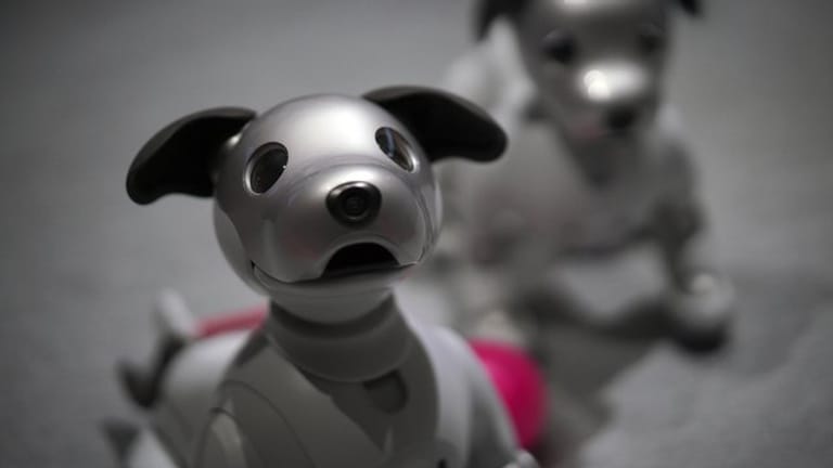 Der Roboter-Hund Aibo von Sony lernte neue Tricks.