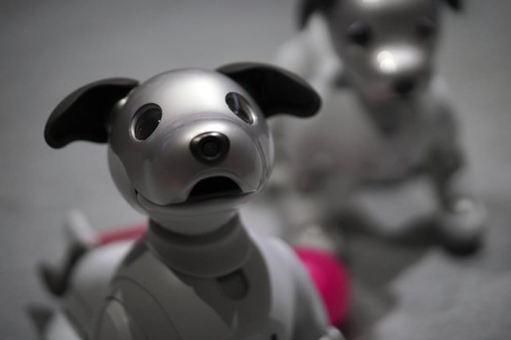 Der Roboter-Hund Aibo von Sony lernte neue Tricks.