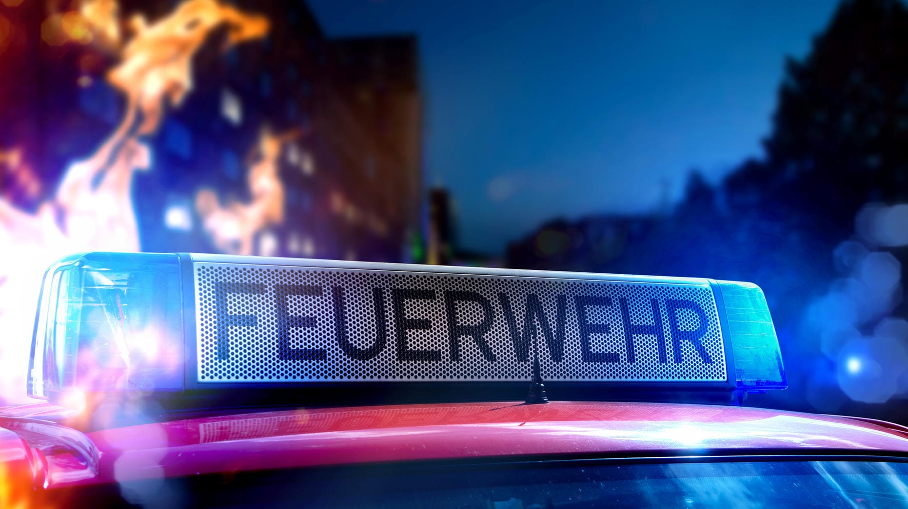 Feuerwehr im Einsatz: In Vechta sind mehrere Dutzend Ferkel bei einem Stallbrand ums Leben gekommen. Feuerwehr im Einsatz: In Vechta sind mehrere Dutzend Ferkel bei einem Stallbrand ums Leben gekommen.