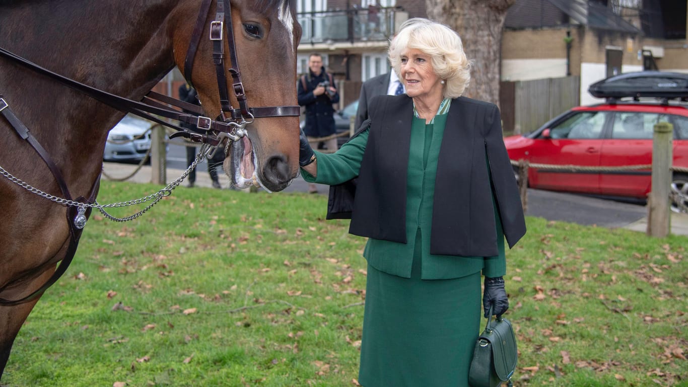 Herzogin Camilla: Bei einem Termin in London trug die Ehefrau von Prinz Charles ein besonderes Accessoire spazieren.