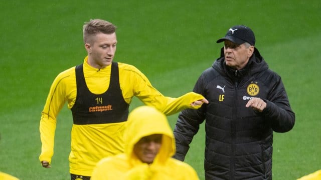 Haben Hannover 96 vor der Stirn: Marco Reus (l) und BVB-Coach Lucien Favre. Haben Hannover 96 vor der Stirn: Marco Reus (l) und BVB-Coach Lucien Favre.