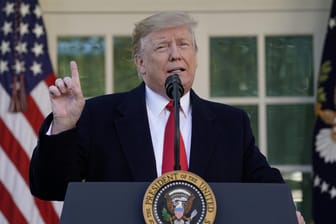 Donald Trump im Rosengarten des Weißen Hauses: Der US-Präsident verkündete das vorläufige Ende des "Shutdowns" in den USA.