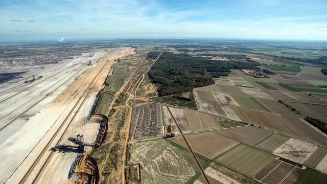 Der Hambacher Forst zwischen Köln und Aachen gilt als Symbol des Widerstands gegen die Kohle. Der Hambacher Forst zwischen Köln und Aachen gilt als Symbol des Widerstands gegen die Kohle.