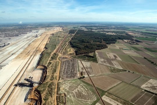 Der Hambacher Forst zwischen Köln und Aachen gilt als Symbol des Widerstands gegen die Kohle.