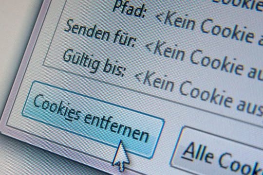 Die Verfolgung im Netz läuft zum größten Teil über sogenannte Cookies, kleine Dateien, die Computer identifizierbar machen.