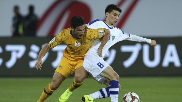 Mathew Leckie (l) kehrte angeschlagen zu Hertha BSC zurück.
