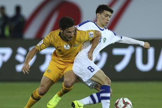 Mathew Leckie (l) kehrte angeschlagen zu Hertha BSC zurück.