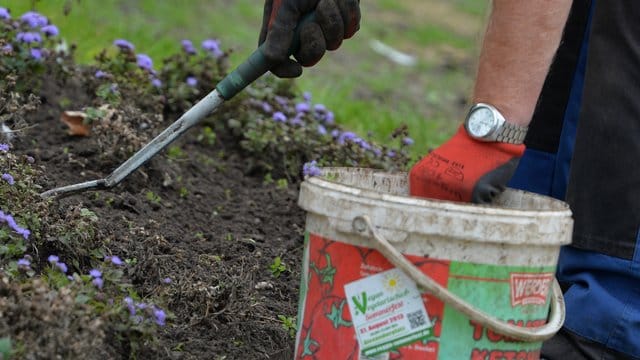 Gartenbeet: Der Boden braucht genügend Nährstoffe.