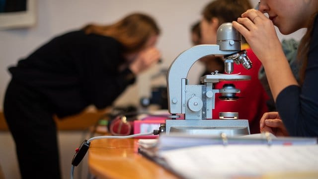 Schülerinnen schauen in der Freien Waldorfschule Uhlandshöhe durch Mikroskope.