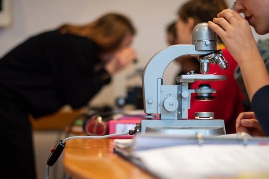 Schülerinnen schauen in der Freien Waldorfschule Uhlandshöhe durch Mikroskope.