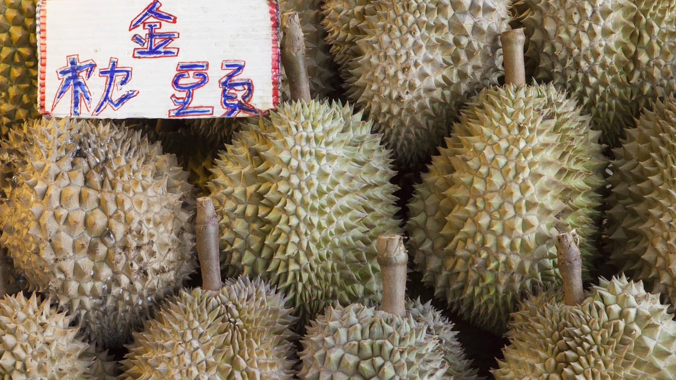 Gibt es für zwei Euro oder für 1.000 (Symbolfoto): Die als "Königin der Früchte" bekannte Durianfrucht erfreut sich in ganz Südostasien großer Beliebtheit.