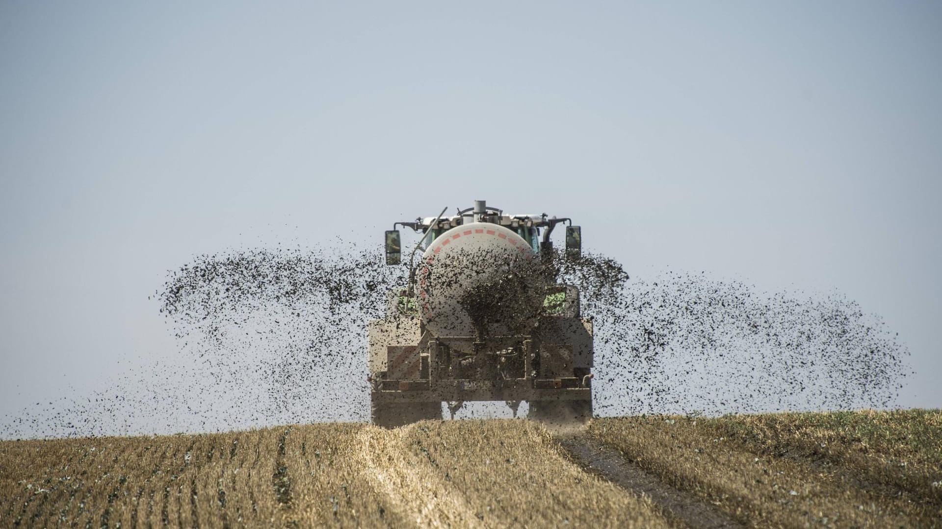 Ein Traktor beim Ausfahren von Gülle