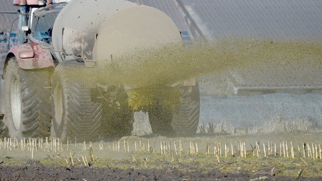 Im vergangenen Juni hatte der Europäische Gerichtshof festgestellt, dass Deutschland jahrelang zu wenig gegen überhöhte Nitratwerte im Grundwasser unternommen hatte. Im vergangenen Juni hatte der Europäische Gerichtshof festgestellt, dass Deutschland jahrelang zu wenig gegen überhöhte Nitratwerte im Grundwasser unternommen hatte.