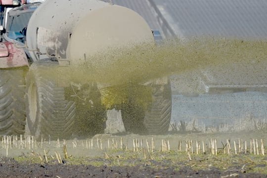 Im vergangenen Juni hatte der Europäische Gerichtshof festgestellt, dass Deutschland jahrelang zu wenig gegen überhöhte Nitratwerte im Grundwasser unternommen hatte.