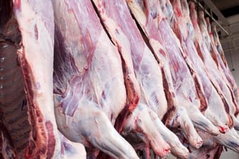Fleisch im Schlachthaus: Schadhaftes Fleisch soll nach Deutschland gelangt sein.