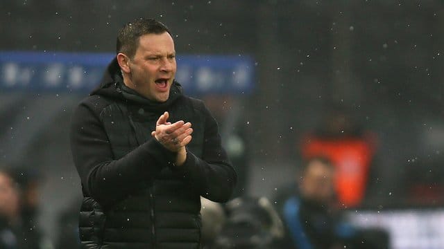 Mag seine kleinen Monster: Hertha-Trainer Pal Dardai.