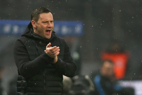 Mag seine kleinen Monster: Hertha-Trainer Pal Dardai.