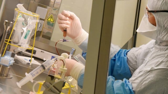 Wie lässt sich nach Entfernung eines Tumors die Cluster-Bildung der zirkulierenden Tumorzellen verhindern? Krebsforscher suchen noch immer nach einer Antwort.
