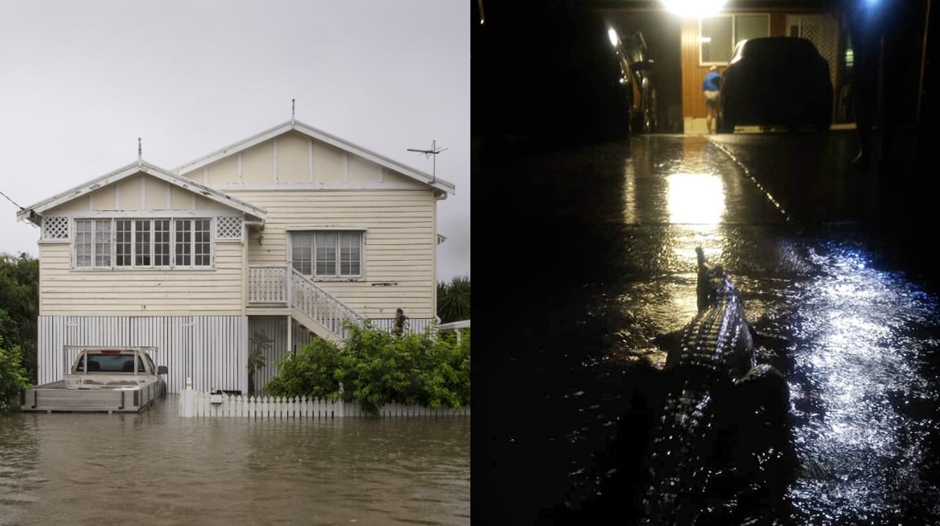 Townsville: Durch die schweren Überschwemmungen im Nordosten Australiens kommen Krokodile in bewohnte Gebiete.