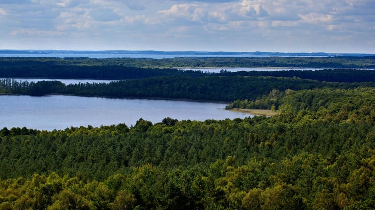 Nationalpark Mueritz bei Speck: Der warme Sommer könnte ein Grund für die große Beliebtheit von Mecklenburg-Vorpommern sein.