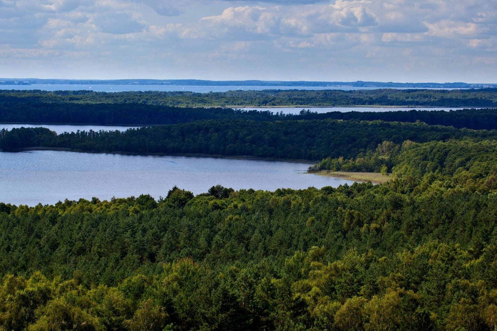 Nationalpark Mueritz bei Speck: Der warme Sommer könnte ein Grund für die große Beliebtheit von Mecklenburg-Vorpommern sein.