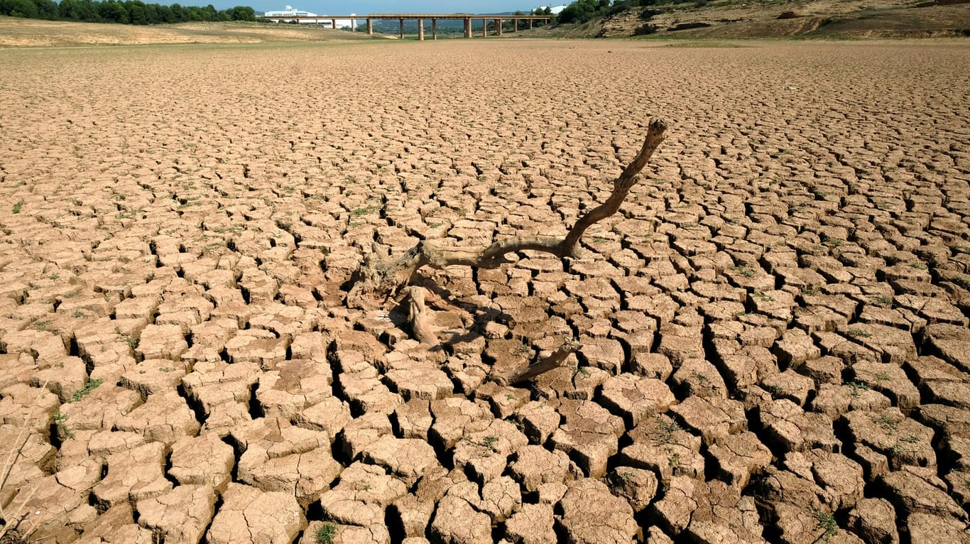 Dürre in Spanien: Die vergangenen vier Jahre waren die wärmsten seit Beginn der Wetteraufzeichnungen.