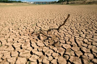 Dürre in Spanien: Die vergangenen vier Jahre waren die wärmsten seit Beginn der Wetteraufzeichnungen.