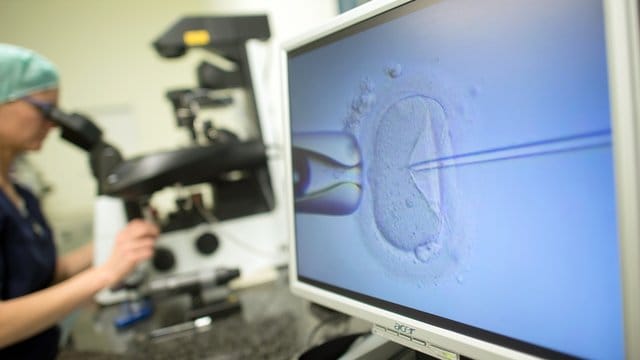 Künstliche Befruchtung in einem Kinderwunschzentrum. Künstliche Befruchtung in einem Kinderwunschzentrum.
